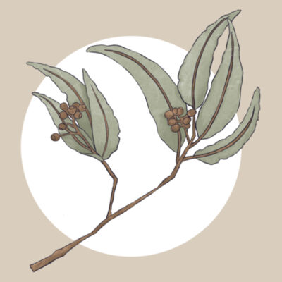 Gum Leaf T-Shirt Design